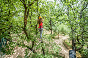 parcours accrobranche prs de draguignan et fréjus